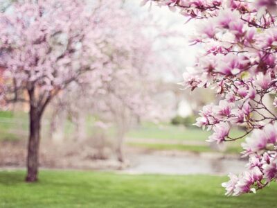 Neue News 11.03. + 12.03